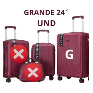 MALA DE VIAGEM GRANDE 24´ VINHO DELLA ML-43