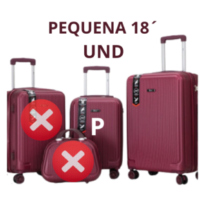 MALA DE VIAGEM PEQUENA 18´ DELLA VINHO ML-43