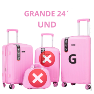 MALA DE VIAGEM GRANDE 24´ DELA PINKML-43