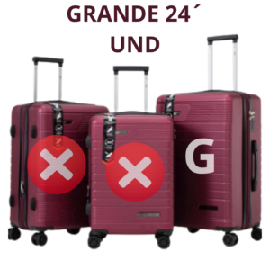 MALA DE VIAGEM GRANDE 24´ DELLA ML-75 VINHO.